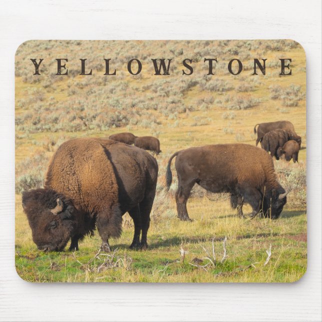 Mousepad Parque Nacional Lamar Valley Bison Yellowstone (Frente)
