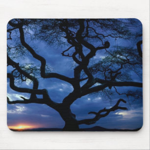 Mousepad Parque Nacional Serengeti, Tanzânia