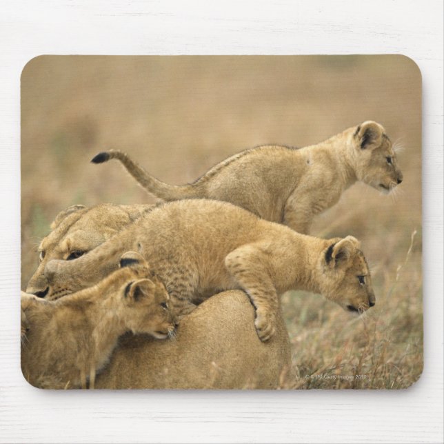 Mousepad Parque Nacional Serengeti, Tanzânia 2 (Frente)