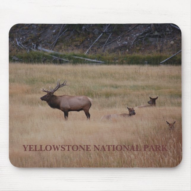 MOUSEPAD PARQUE NACIONAL YELLOWSTONE (Frente)