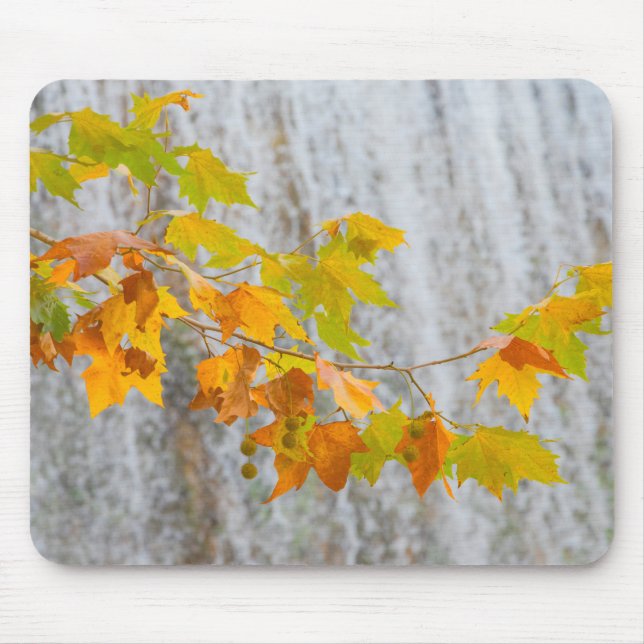 Mousepad Parque Natural del Monasterio - folhas da queda (Frente)
