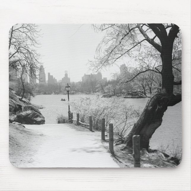Mousepad Parque urbano com lago tranquilo (Frente)