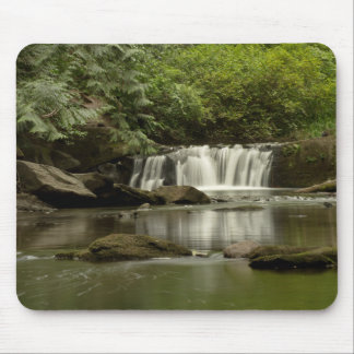 Mousepad Parque Whatcom Falls