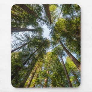 Mousepad Parques Nacionais e Estaduais de Redwood, Califórn