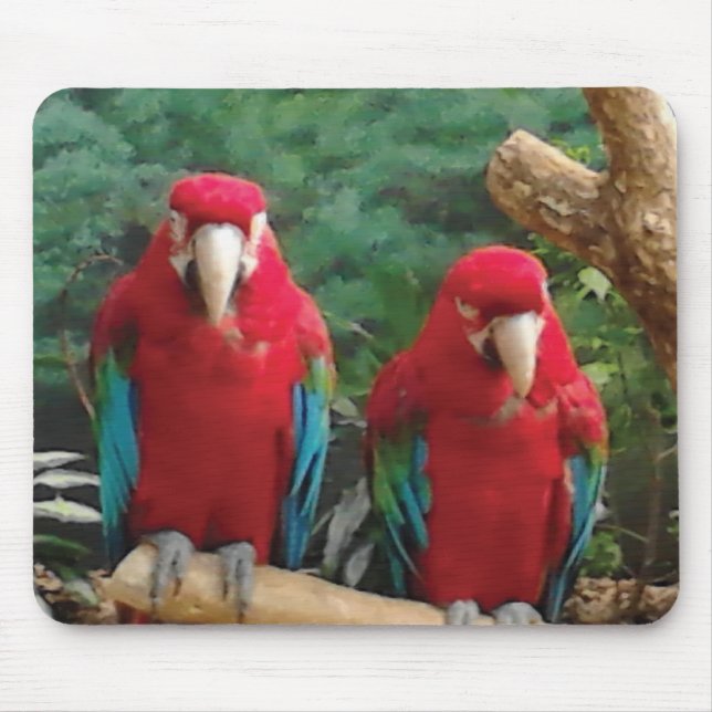 Mousepad Parrots vermelhos (Frente)