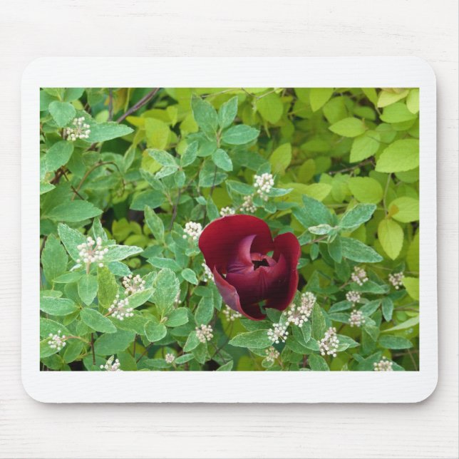 Mousepad parterre de fleurs au printemps (Frente)