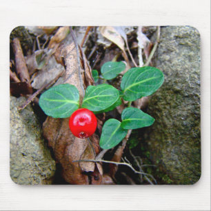 Mousepad Partridge Berry Wildflower