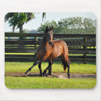 Mousepad Passagem do lado de Don Diego