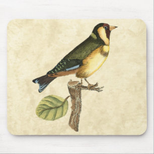 Mousepad Pássaro Amarelo e Verde Empoleirado em um pequeno