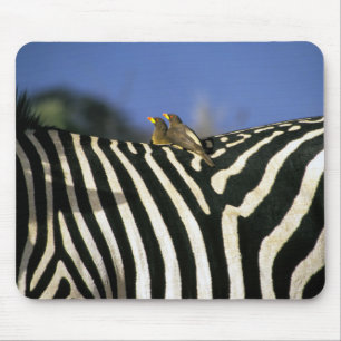 Mousepad Pássaro-bicho-da-bico-vermelho em uma Zebra de vol