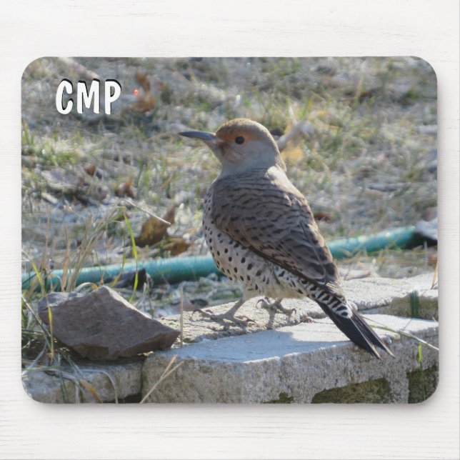 Mousepad Pássaro bonito (Frente)