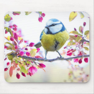 Mousepad Pássaro bonito
