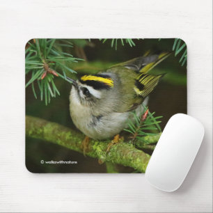 Mousepad Pássaro Cantor Cute Kinglet Causa Tumulto no Abeto
