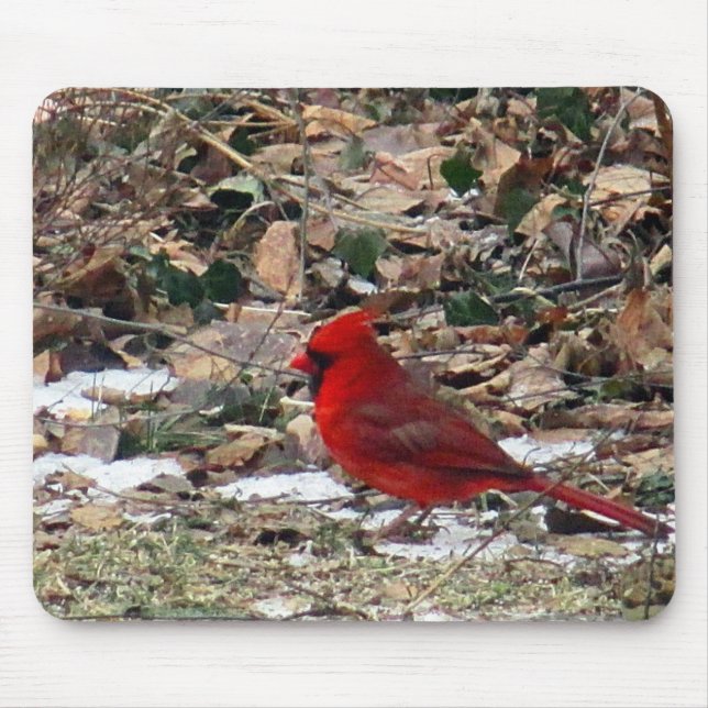 Mousepad Pássaro cardinal vermelho nas folhas (Frente)