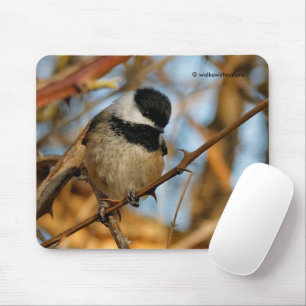 Mousepad Pássaro Chickadee Bonito Esperançoso De Capas Ne