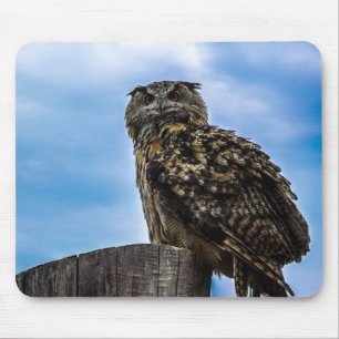 Mousepad Pássaro Coruja Penas Animal Nature Destino Paz Amo