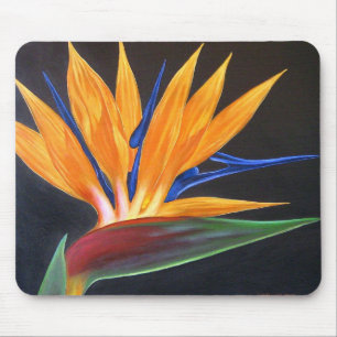 Mousepad Pássaro da pintura tropical da flor do paraíso -