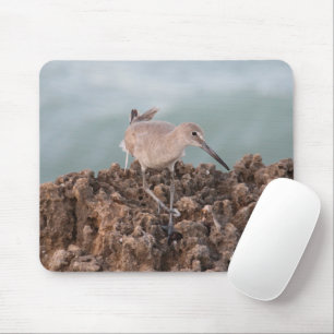 Mousepad Pássaro da praia com fundo verde-oceânico do mar