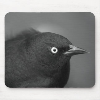 Mousepad Pássaro de Alfred Hitchcock