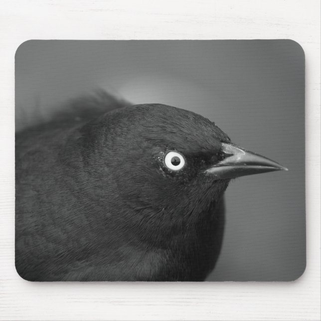 Mousepad Pássaro de Alfred Hitchcock (Frente)