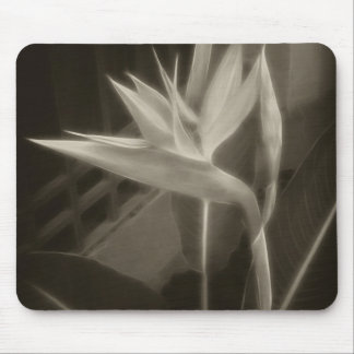 Mousepad Pássaro de paraíso Antiqued 10