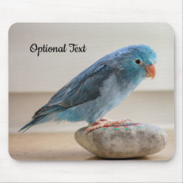 Mousepad Pássaro de Parrotlet Azul Personalizado