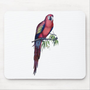 Mousepad Pássaro do Macaw do vintage