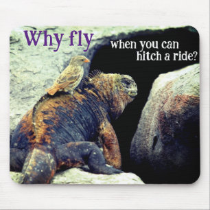 Mousepad Pássaro e fuzileiro Iguana