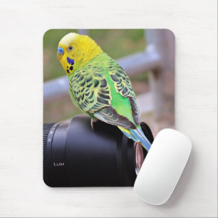 Mousepad Pássaro exótico amarelo, verde e azul na lente d