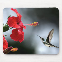 Mousepad Pássaro Humming e Flor Vermelha