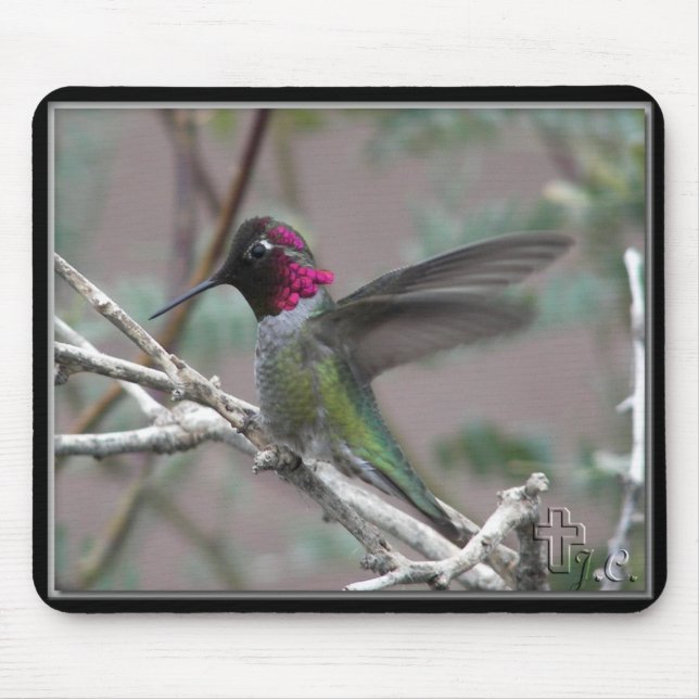 Mousepad Pássaro Hummingno Meu Quintal. (Frente)