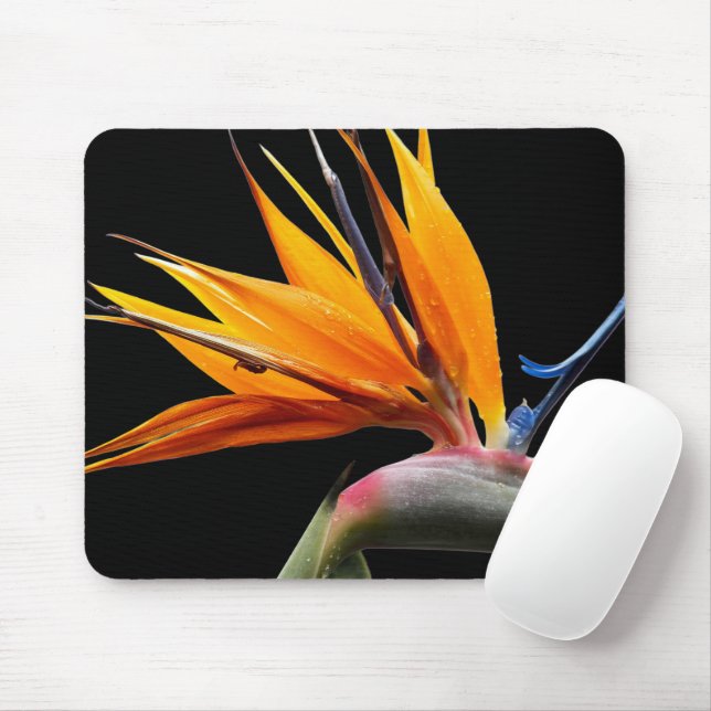Mousepad Pássaro Laranja da Planta do Paraíso Floral (Com mouse)