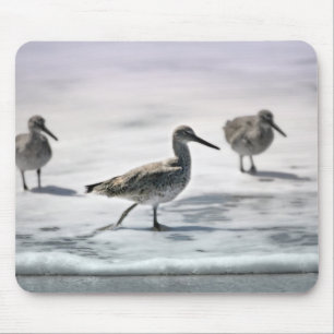 Mousepad Pássaros