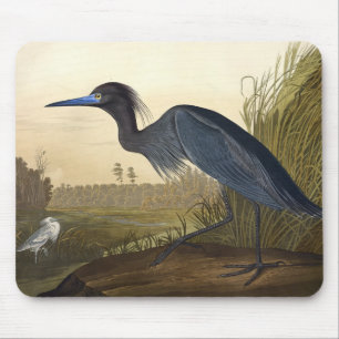 Mousepad Pássaros Azuis Ou Herões Da América John James