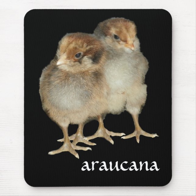 Mousepad Pássaros da ornitologia das galinhas do araucana (Frente)