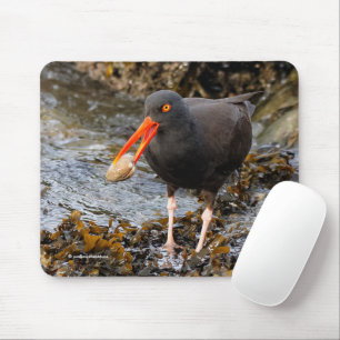 Mousepad Pássaros-da-praia de Oystercatcher Negro