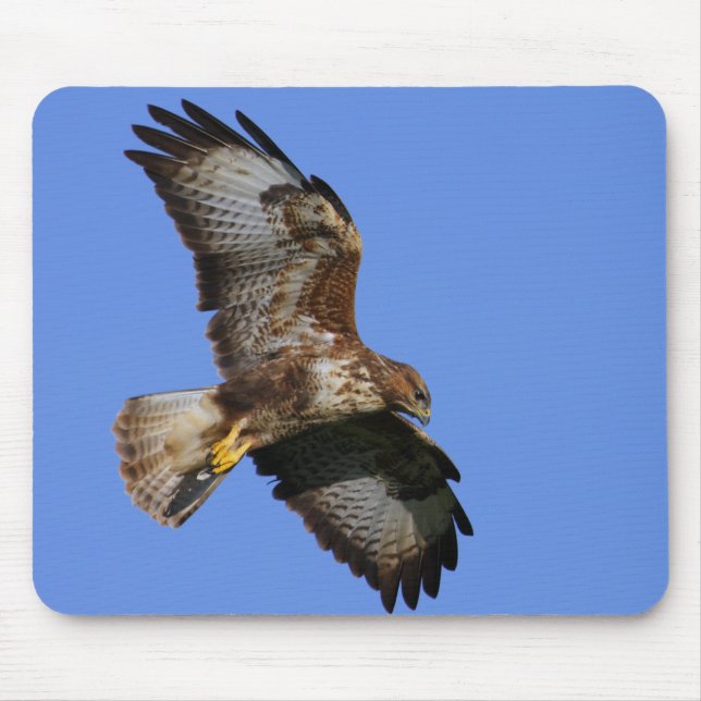 Mousepad Pássaros de rapina Mousemats (Frente)