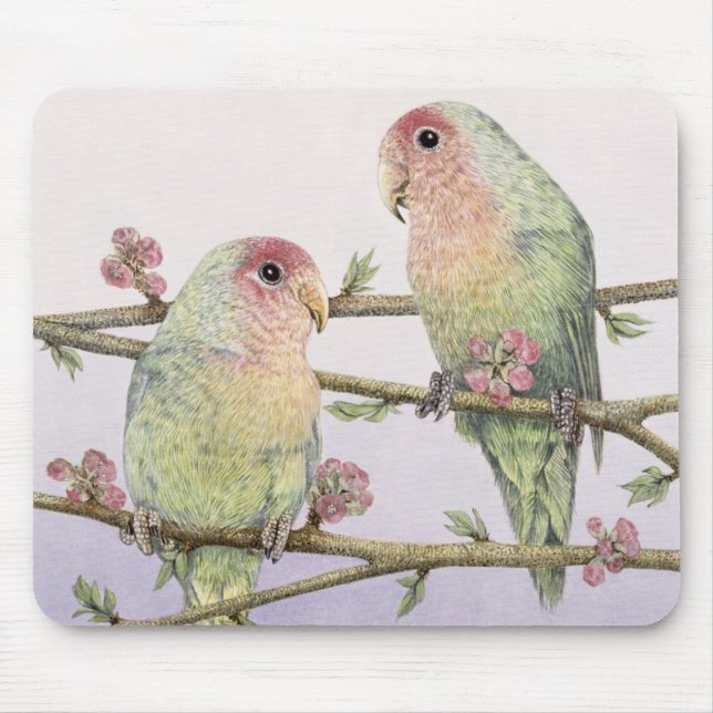 Mousepad Pássaros do amor (Frente)