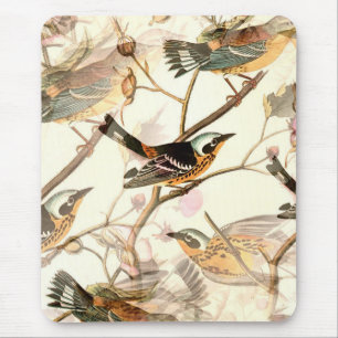 Mousepad Pássaros em um galho