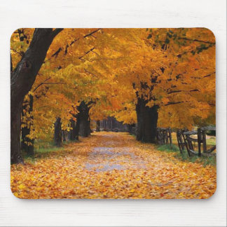 Mousepad Passeio abaixo da viagem nostálgica do outono