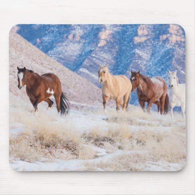 Mousepad Passeio de cavalo cowboy no Hideout Ranch (Frente)