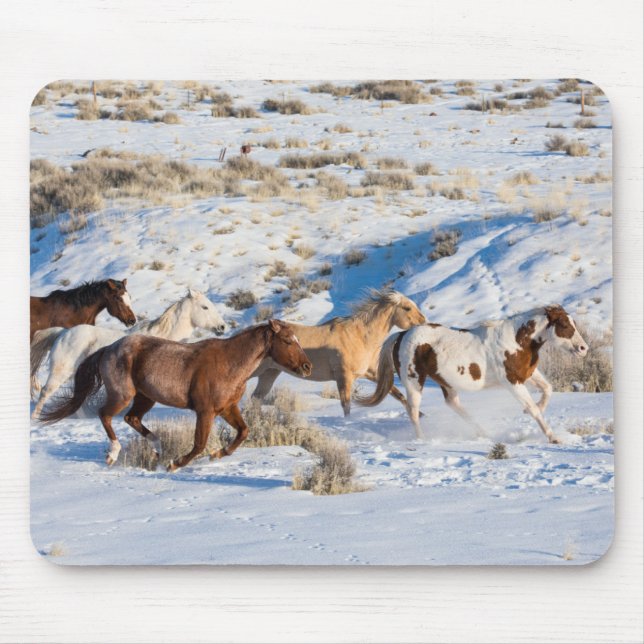 Mousepad Passeio de Cavalo no Inverno no Hideout Ranch (Frente)