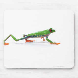 Mousepad Passeio eyed vermelho do sapo de árvore