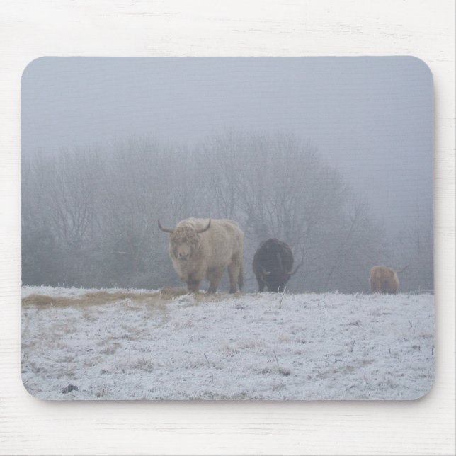 Mousepad Passeio na montanha do inverno DSCF0832 (Frente)