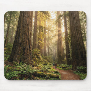 Mousepad Passeio pela Floresta
