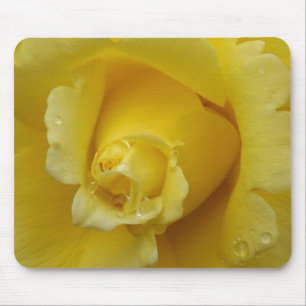 Mousepad Pasta amarela do mouse rosebud