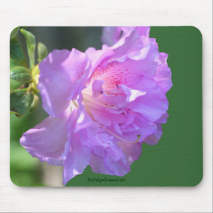 Mousepad Pasta de Fotos do Flor Azalea Rosa