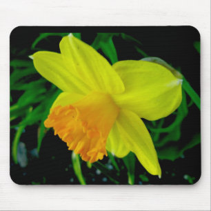 Mousepad Pasta de Mão Laranja Amarelo