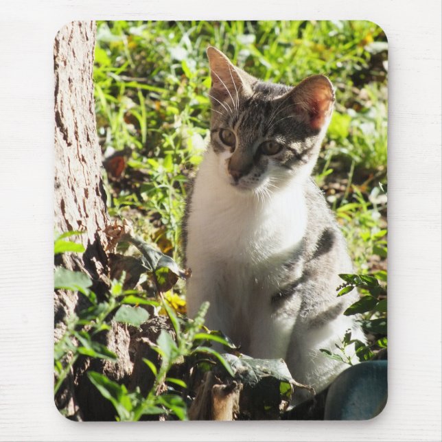 Mousepad Pasta de mouse Curiosa Tiger e White Kitten (Frente)