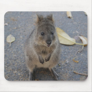 Mousepad Pasta de mouse Quokka
